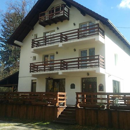 Casa Brandusa برانْ المظهر الخارجي الصورة