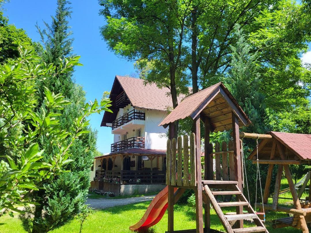 Casa Brandusa برانْ المظهر الخارجي الصورة